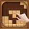 Block Puzzle Casual Game Woody is a classic block puzzle game