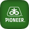 Pioneer South Africa Portal