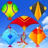 Basant Festival-Kite Flying 3D