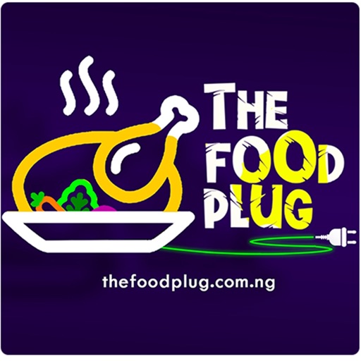 The FoodPlug 9Ja