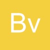 BVCDomestic