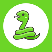 Pocket Snake