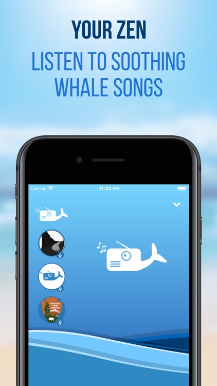 Whale Radio