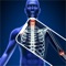 Xray Scanner Body app scan filter offline doctor hospital game offers you the chance to learn about the bone structure of the human body with the provided cartoonish images and facts