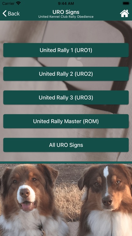 UKC Rally Dog Obedience