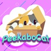 Peekabo Cat