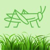 Grass-Hop