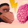 Brain Evolution - iPadアプリ