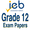 IEB Matric Exam Papers - Selborn Arnold Zandamela