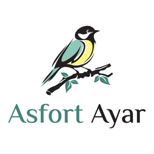 asfort ayar