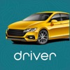 Runner Driver