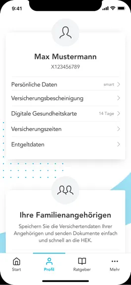 Game screenshot HEK Service-App apk