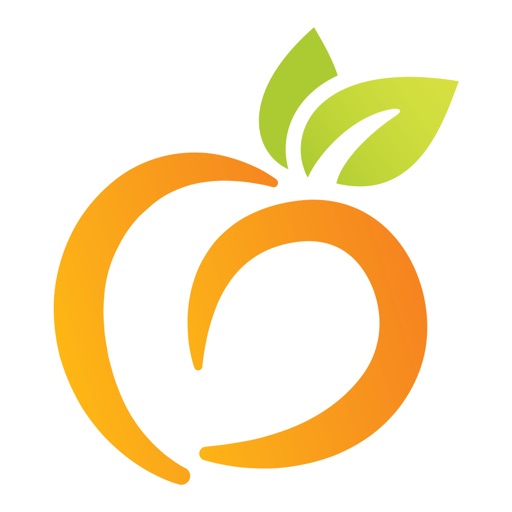 Peach State Health Plan Icon
