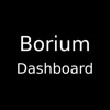 Borium Dashboard