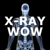 X-Ray Wow - Ballinger and Bruckner, LLP