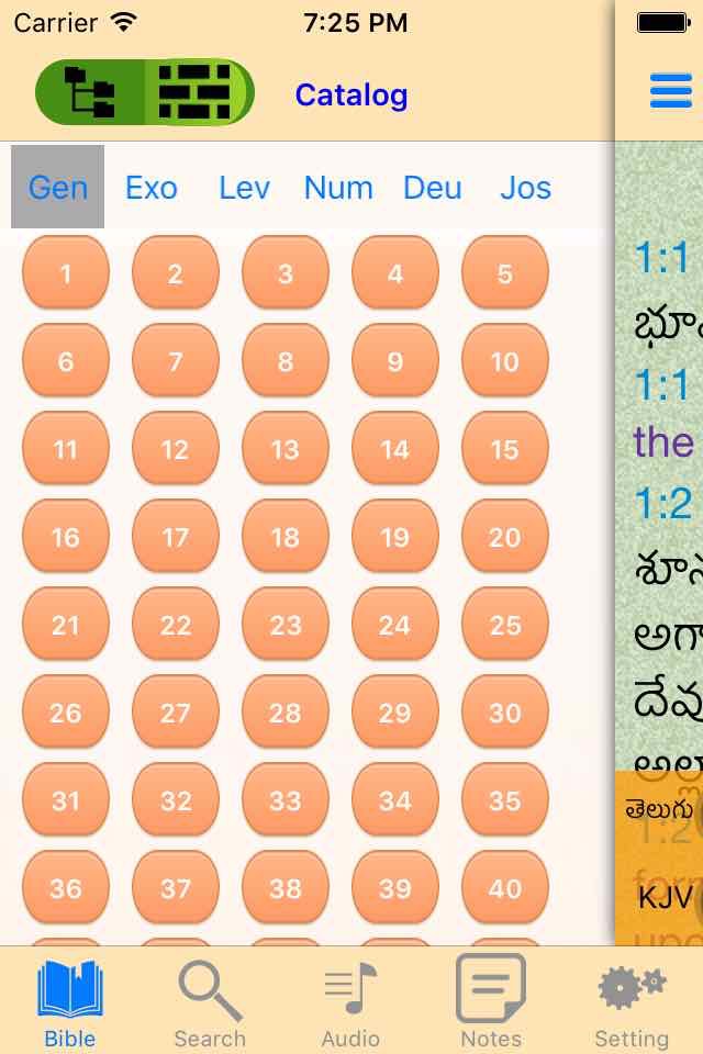 Telugu English Audio Bible screenshot 3