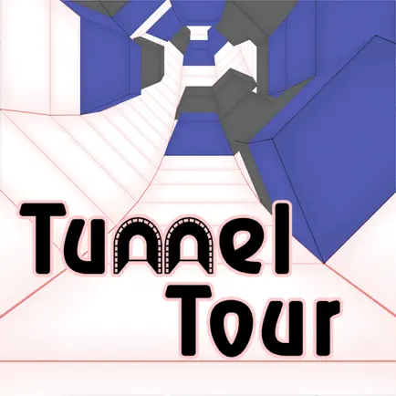 Tunnel Tour Cheats