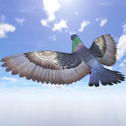 Pigeon Games Flight Simulator Читы