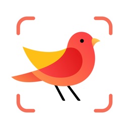 Picture Bird - Reconocer Aves icono