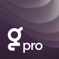 Glambook Pro: for Business Reviews