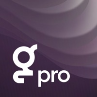 Glambook Pro ne fonctionne pas? problème ou bug?