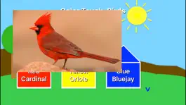 Game screenshot Color Touch: Birds hack