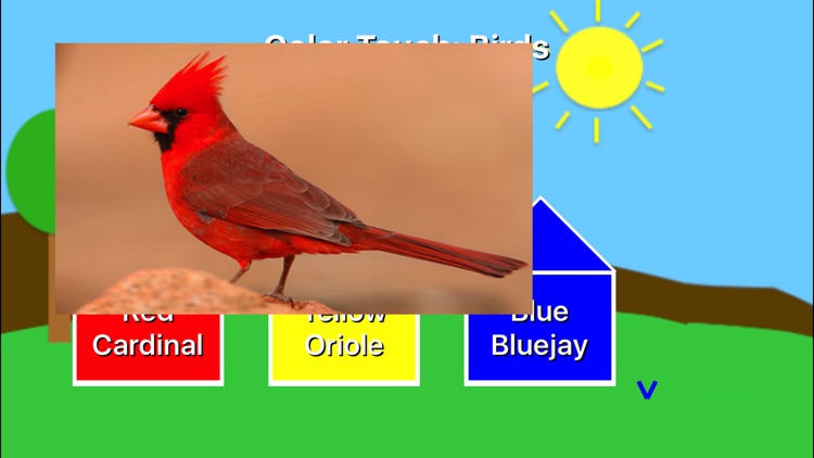 Color Touch: Birds screenshot-2