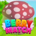 Boom Berry Match