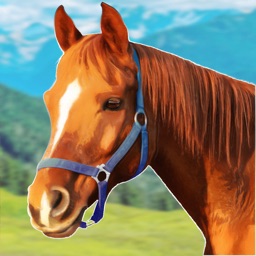 Wild Horse Simulator Games 3D