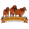 BrownCows Organic Dairy Farm