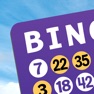 Get Bingo Card for iOS, iPhone, iPad Aso Report