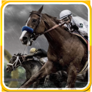 Jockey Viva Go
