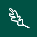 Healthys - order online