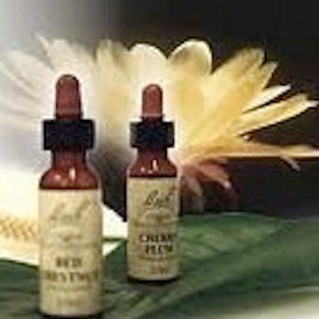 Get Florais de Bach for iOS, iPhone, iPad Aso Report