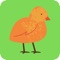 birdaddimul is simple and easy way to check your knowledge about addition and multiplication