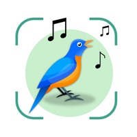  Bird Sounds Identifier Call ID Alternative