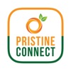 Pristine Connect