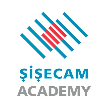 SISECAM ACADEMY Читы