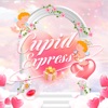 Cupid Express