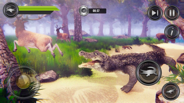 Angry Crocodile Attack Game 3D