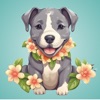 Oahu Dog Training