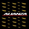 Alianza Business Network