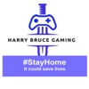 HARRY BRUCE GAMING