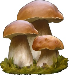 iMushrooms