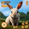 Cute Rabbit Bunny Pet Game Sim