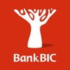 Bank BIC NA Limited - Bank BIC NA Limited