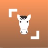 Icon Horse Scanner
