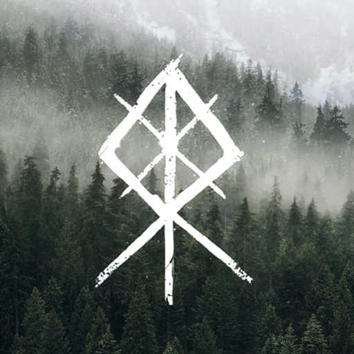 ヴァイキングライズ