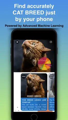 Game screenshot Cat Identifier - Kitty Scanner hack