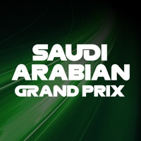 F1 SAGP Erfahrungen und Bewertung